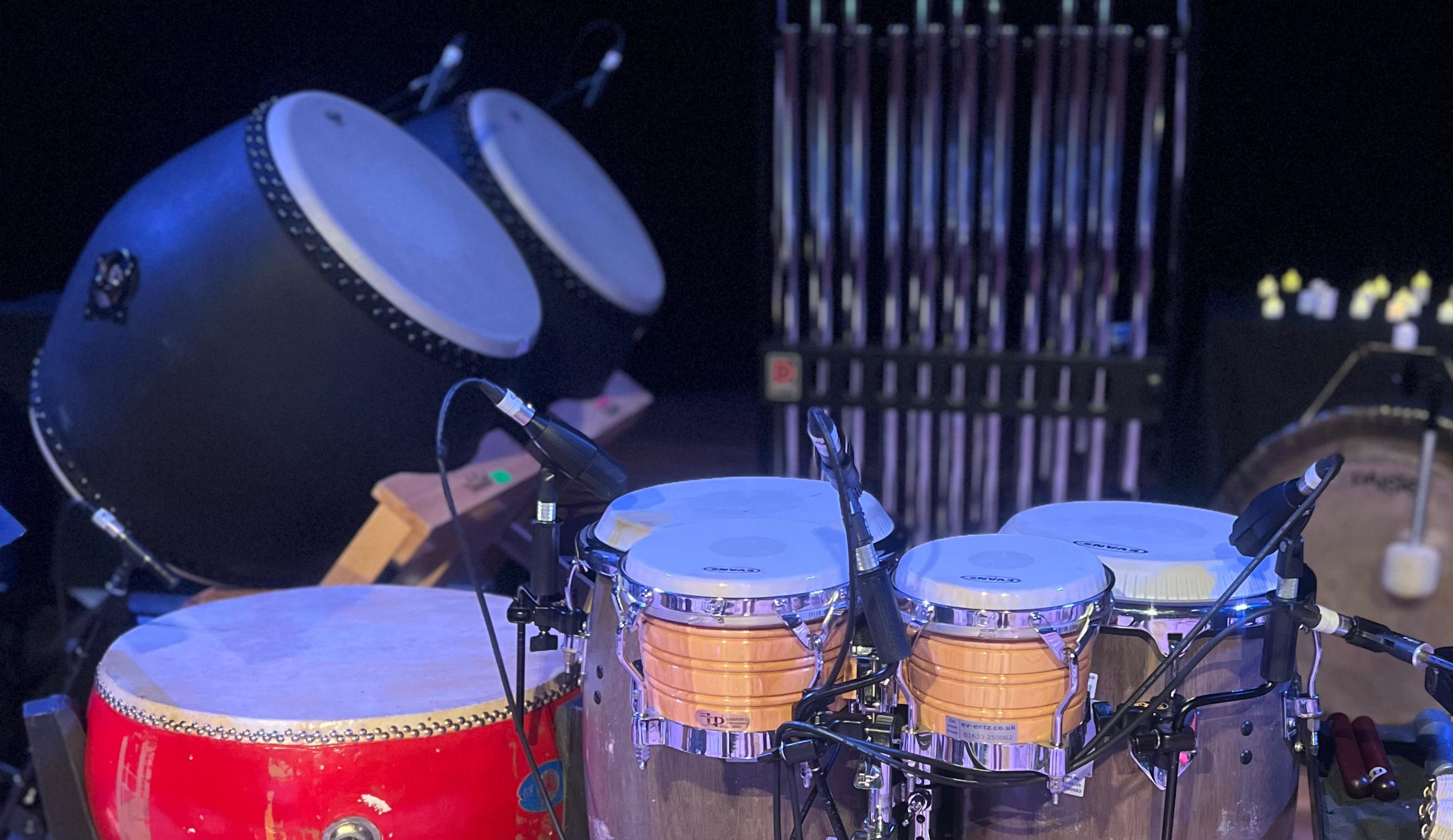 Concert Xylophone